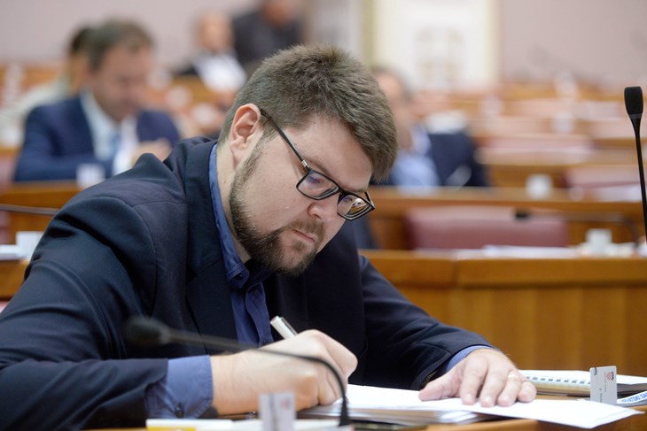 Peđa Grbin (Cropix)
