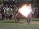 Srednjovjekovni festival u Svetvinčentu (Danilo MEMEDOVIĆ)