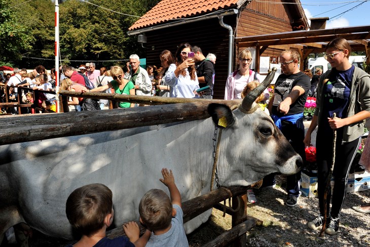 (Silvano JEŽINA)