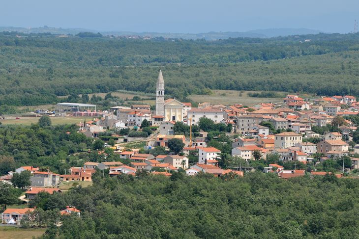(N. LAZAREVIĆ)