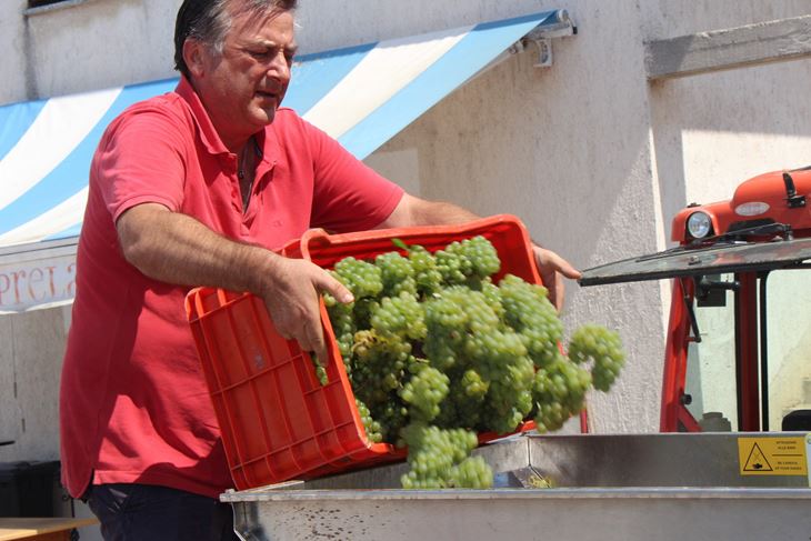 Pjenušci sve traženiji  - Rino Prelac (Luka Jelavić)