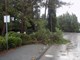 Nevrijeme u Rovinju (JVP Rovinj)