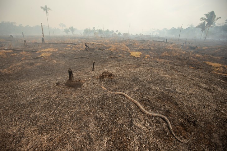 (EPA)
