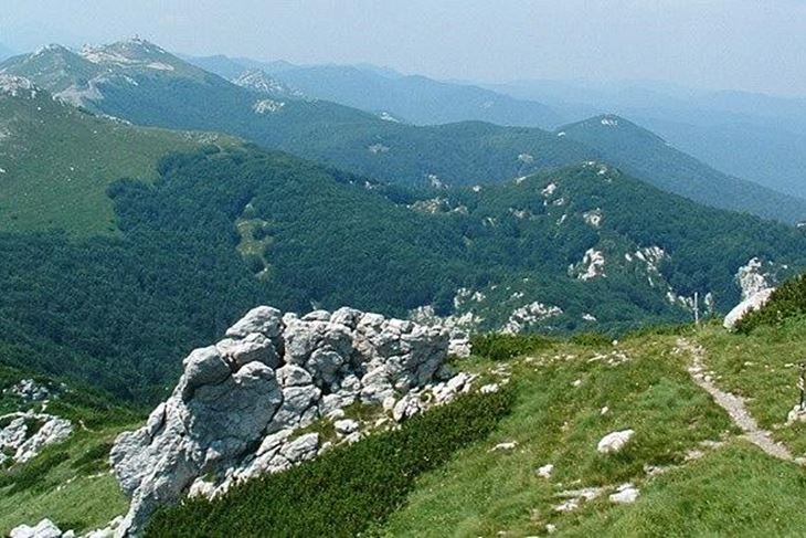 Arhiva