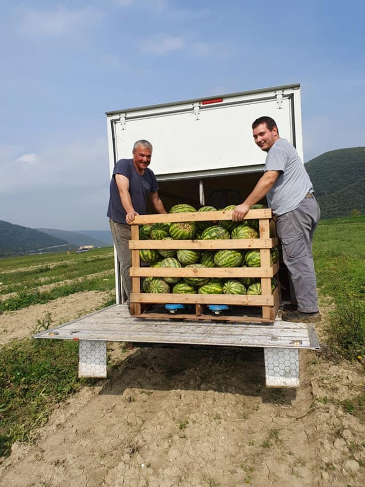 chiavalon lubenice u listopadu