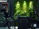 DESIGN DISTRICT Snimio Neven LAZAREVIĆ