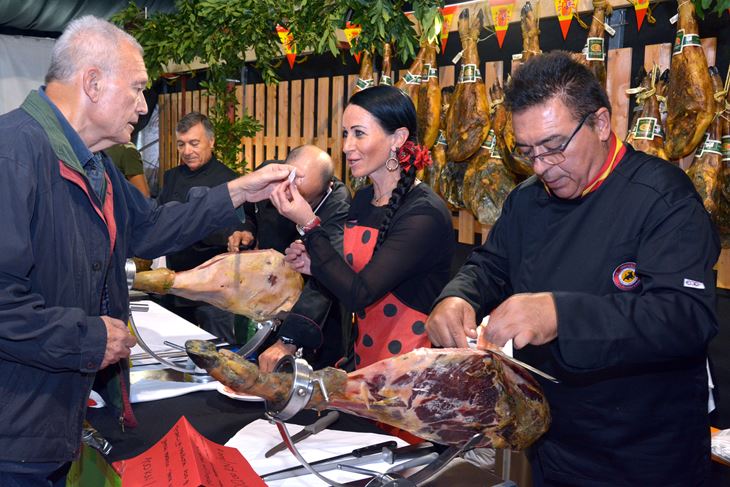 (N. LAZAREVIĆ)