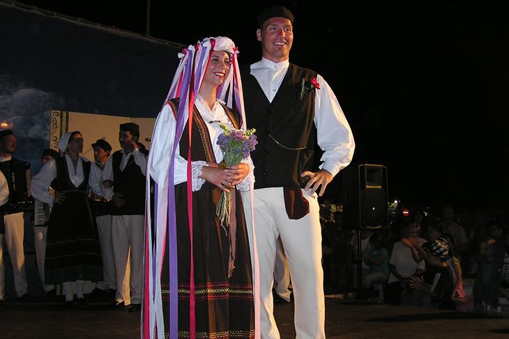 (P. SOFTIĆ)