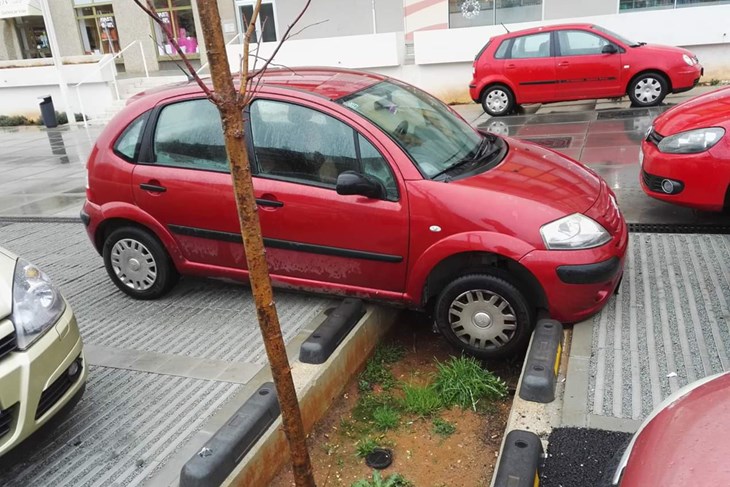 Problema više ne bi trebalo biti - fotografija snimljena ljetos (Predrag NEDELJKOVIĆ)