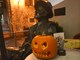 Obilježavanje Halloweena u Puli (D. MEMEDOVIĆ)