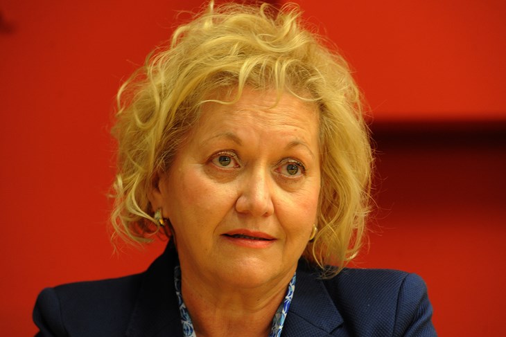 (M. MIJOŠEK)