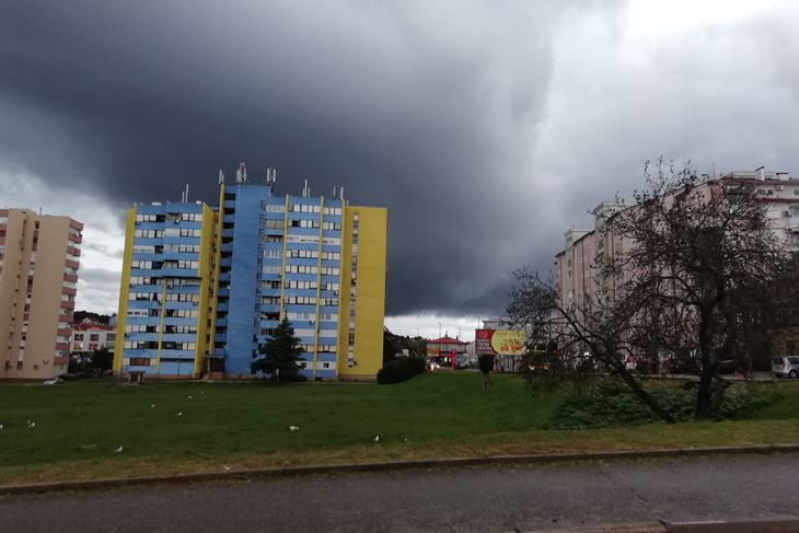 (Marica KOŠTA)