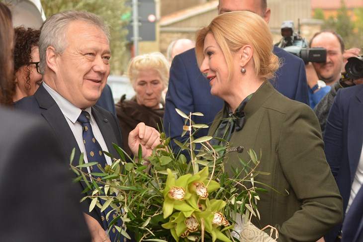 (D. MEMEDOVIĆ)