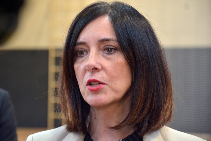 (N. LAZAREVIĆ)