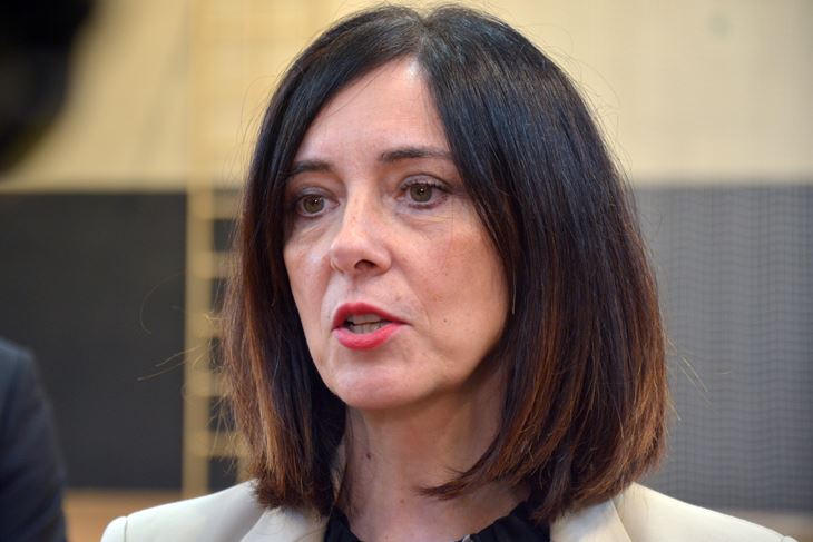 (N. LAZAREVIĆ)