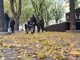 PULA,30 11 2019,GIARDINI,ADVENT,LISCESnimio Danilo MEMEDOVIC