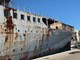 Galeb