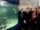 Izložba "Sjeverna mora" u pulskom Aquariumu (Dejan ŠTIFANIĆ)