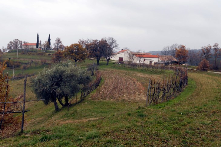 Lesišćina bi dogodine trebala dobiti društveni dom (A. DAGOSTIN)