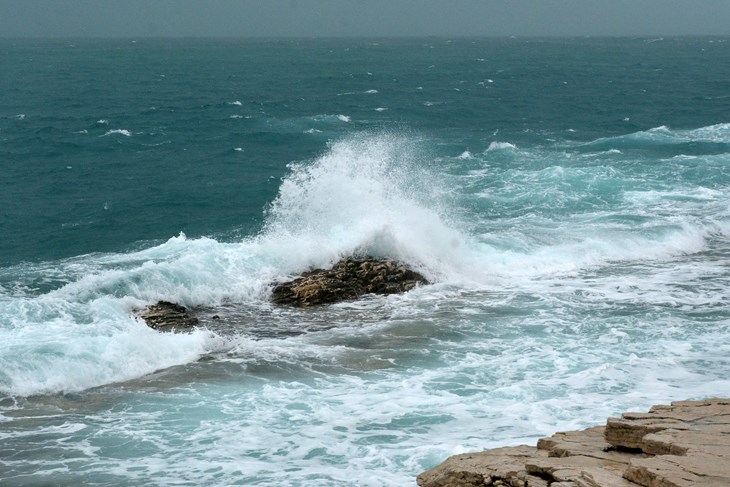 Ilustracija (D. MEMEDOVIĆ)