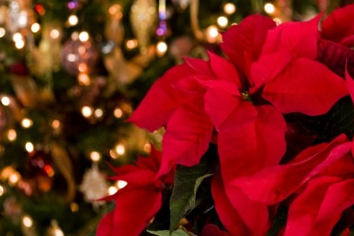 (Foto: iStock)
