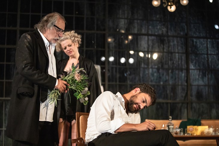 "Tko se boji Virginie Woolf" (Darja ŠTRAVS TISU)