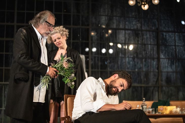 "Tko se boji Virginie Woolf" (Darja ŠTRAVS TISU)