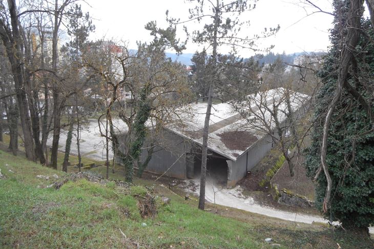 (Anđelo DAGOSTIN)