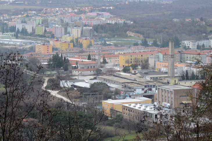 (D. ŠTIFANIĆ)