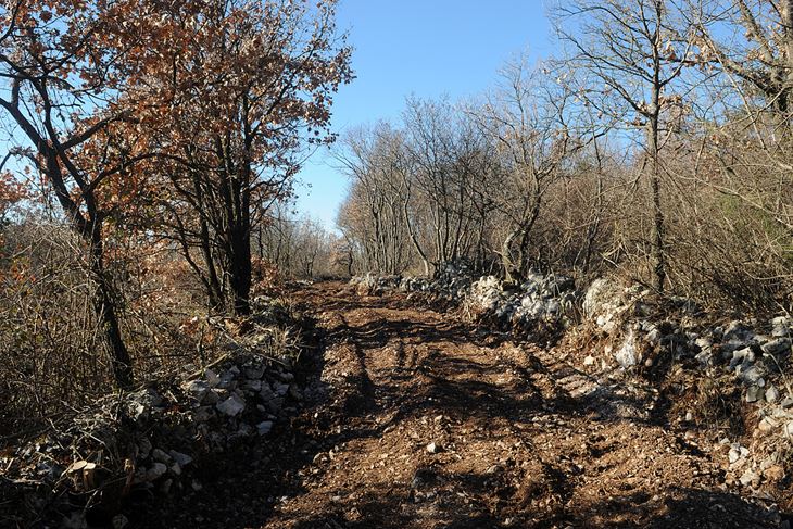 Ročko polje (Arhiva)