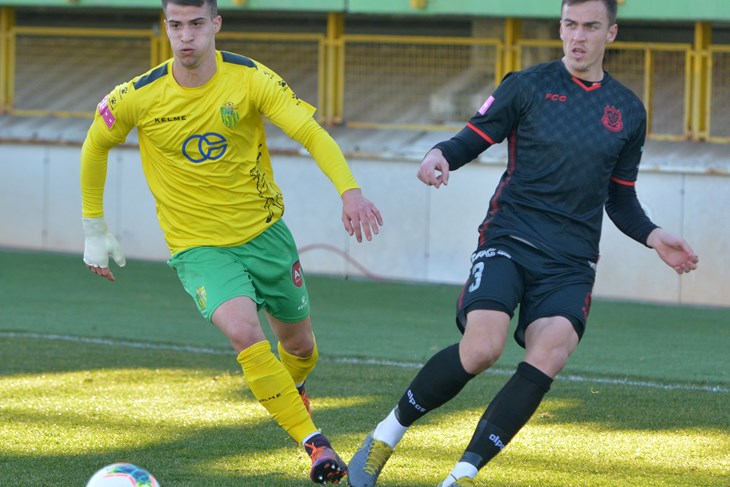 (N. LAZAREVIĆ)