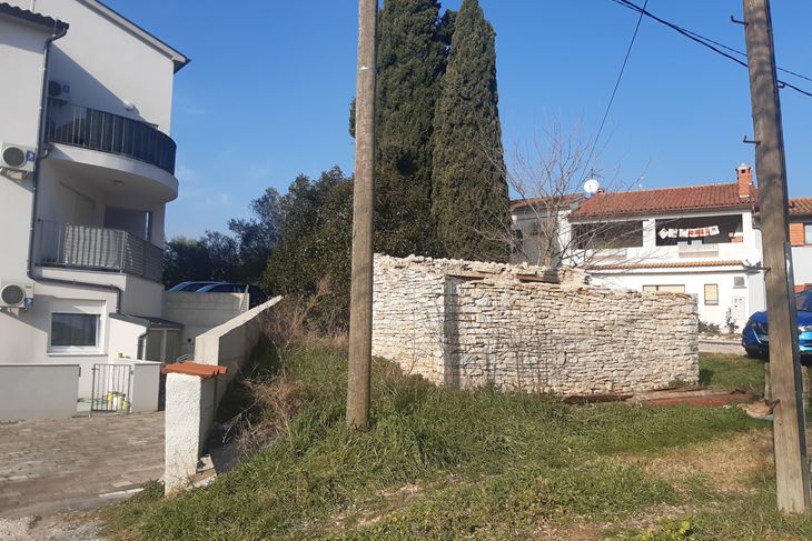Sporna čestica u Vernalskoj