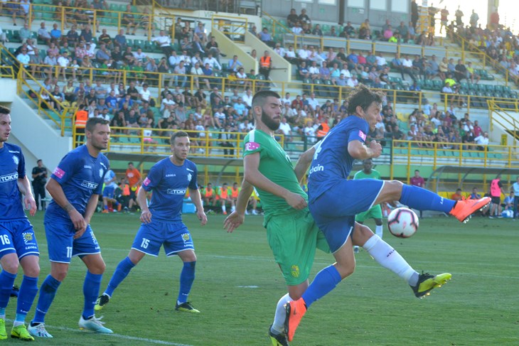 (N. LAZAREVIĆ)
