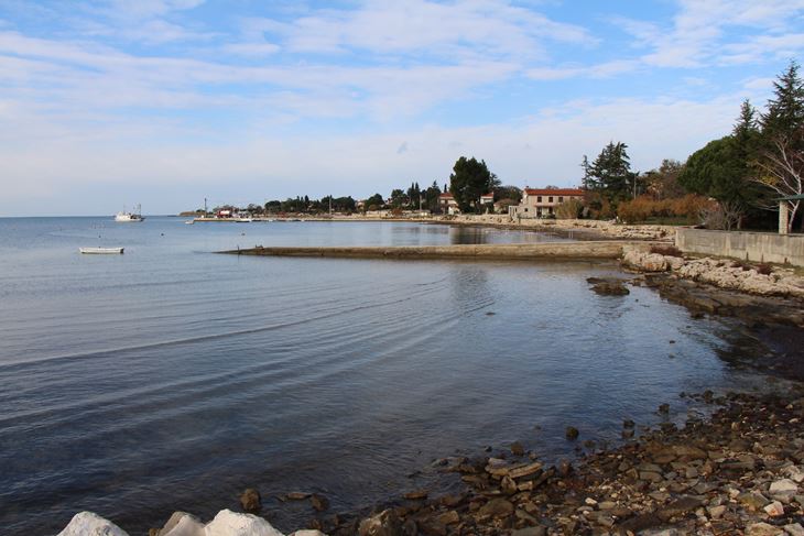 Arhiva