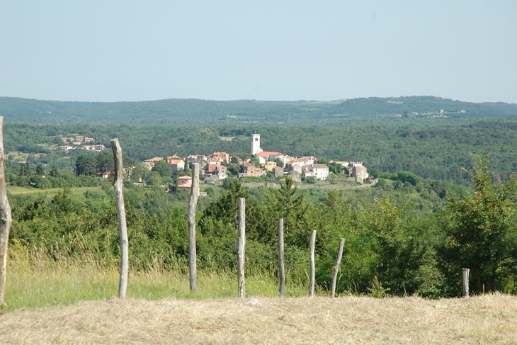 (E. VELAN)
