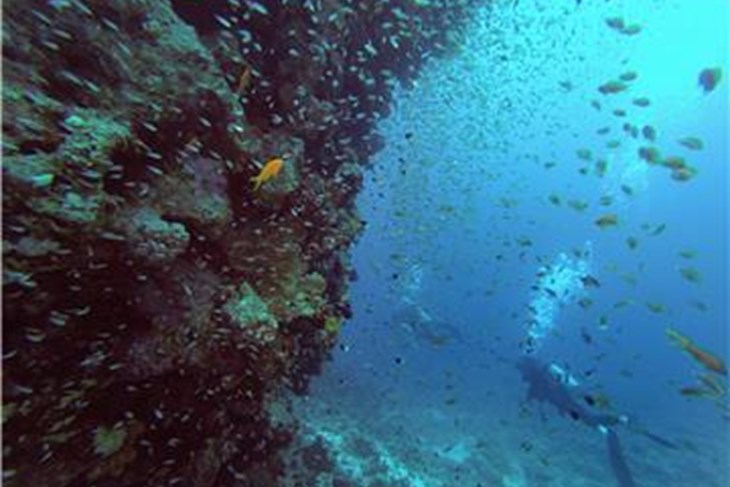 (Hina/EPA)