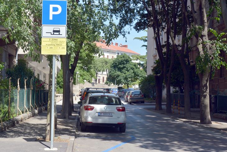 (N. LAZAREVIĆ)