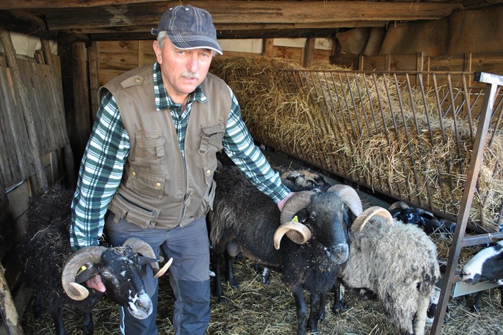 Milorad Pokrajac (Aldo POKRAJAC)