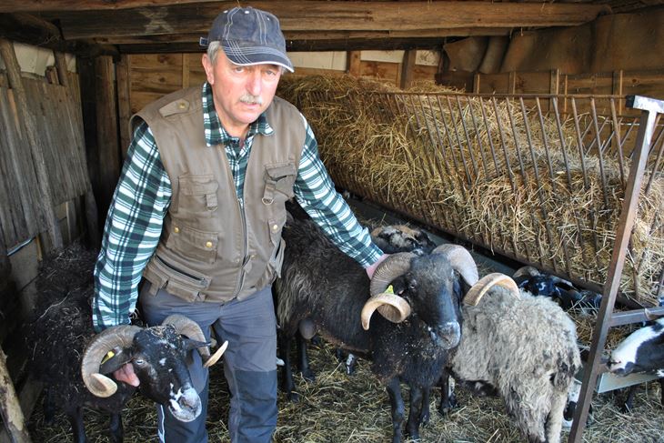 Milorad Pokrajac (Aldo POKRAJAC)