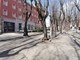 Pula u doba koronavirusa, 29. ožujka 2020. (Miran SPADA)