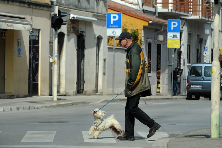 (Milivoj MIJOŠEK)