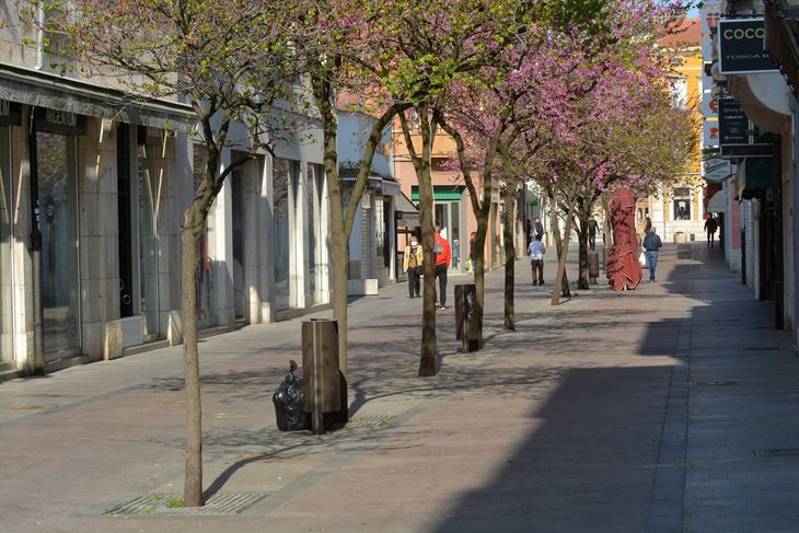 foto D. KOVAČEVIĆ