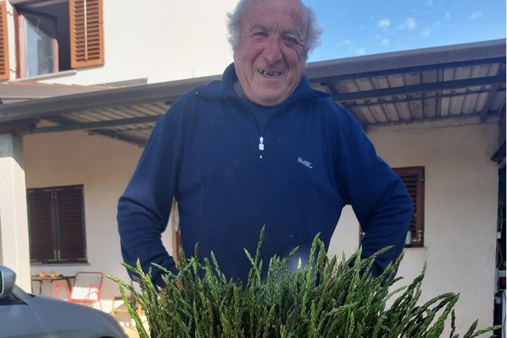 (L. JELAVIĆ)