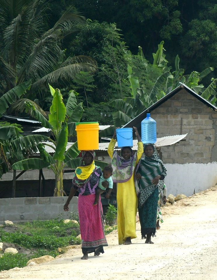 Zanzibar (Vedran KARUZA)
