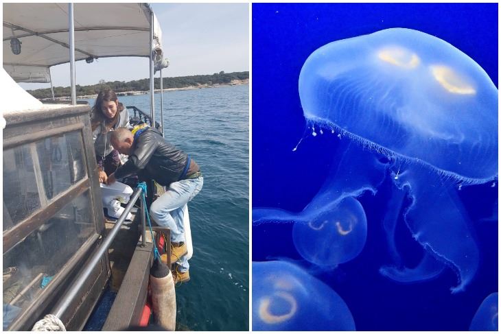 Aquarium Pula