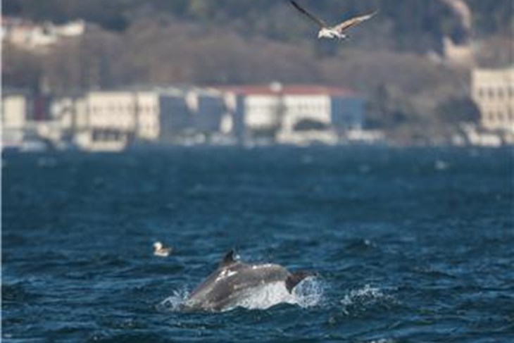(Hina/EPA)