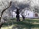 Umag (Sanja BOSNIĆ)