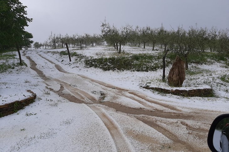 foto Siniša Brajković/Istramet