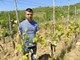 Kristijan Jermaniš u svom vinogradu procjenjuje prve štete (Gordana ČALIĆ ŠVERKO)