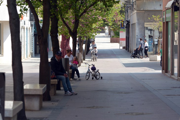 (N. LAZAREVIĆ)